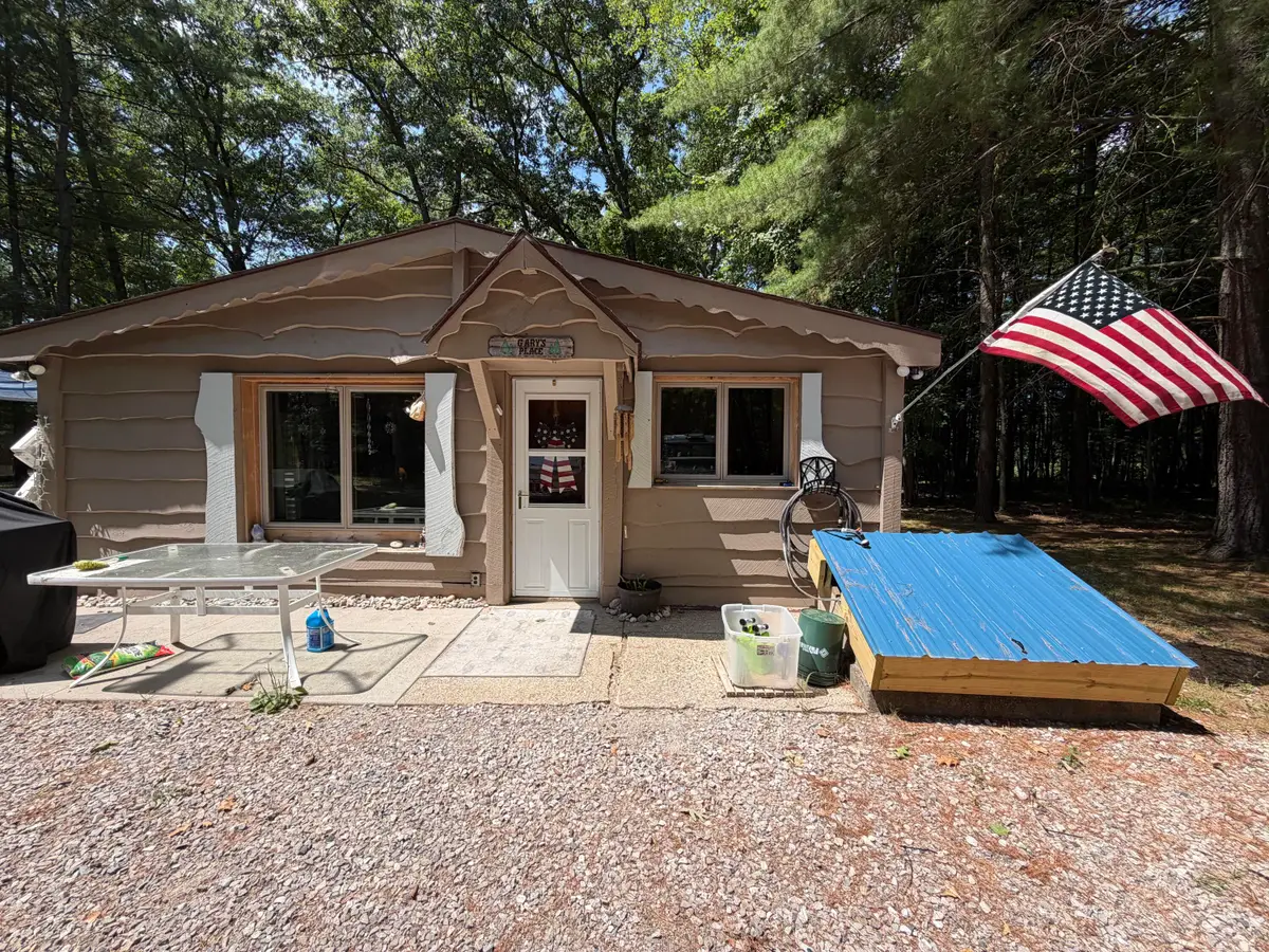 8316 N Aqua Drive, Irons, MI 49644 - #1