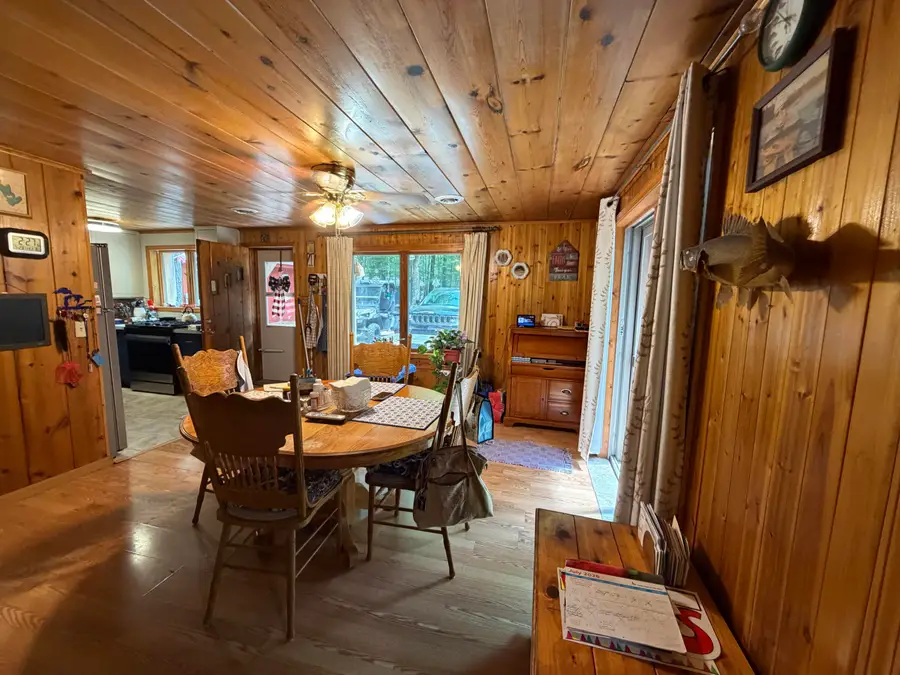 8316 N Aqua Drive, Irons, MI 49644 - #3