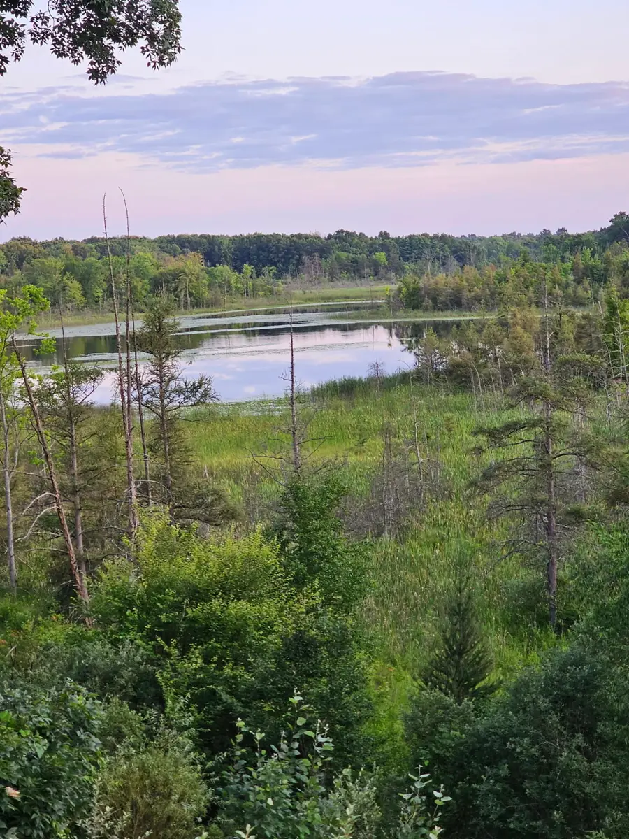 5464 Clear Lake Road, Grass Lake, MI 49240 - #2