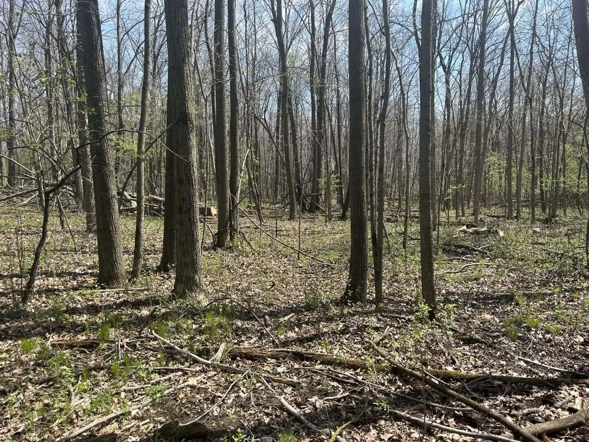 Halfmoon Lake Rd., Hillsdale, MI 49242 - #1
