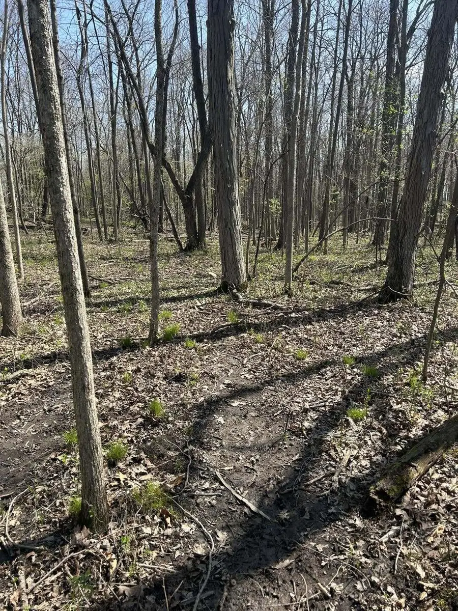 Halfmoon Lake Rd., Hillsdale, MI 49242 - #3