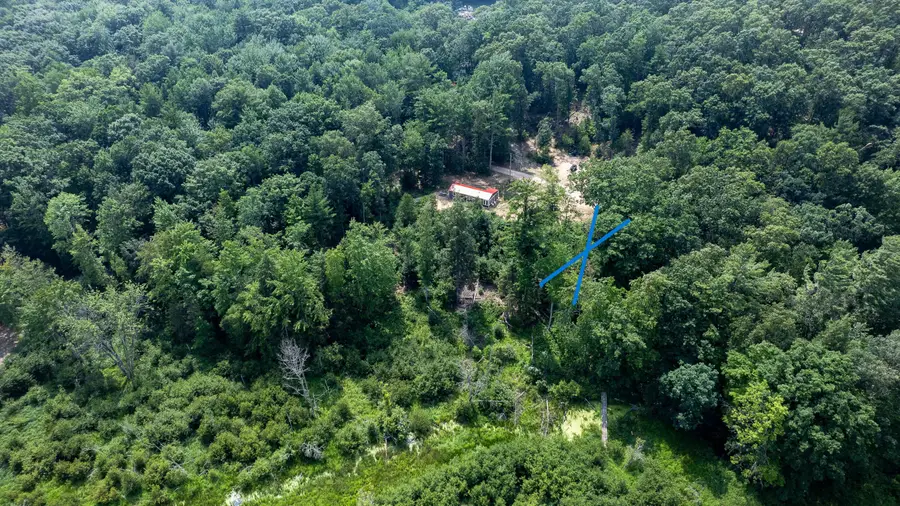 Lot 13 Northern Drive, Pentwater, MI 49449 - #3
