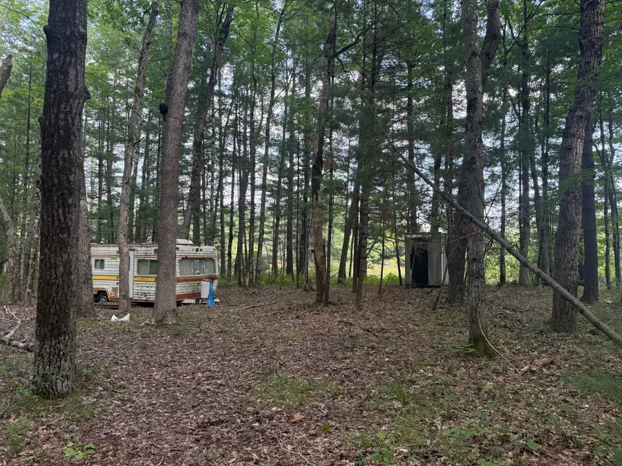 5860 Honeybear Avenue, Baldwin, MI 49304 - #3