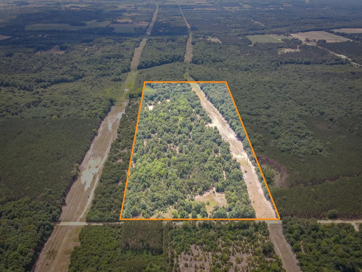V/L W Adams Road, Pentwater, MI 49449 - #1