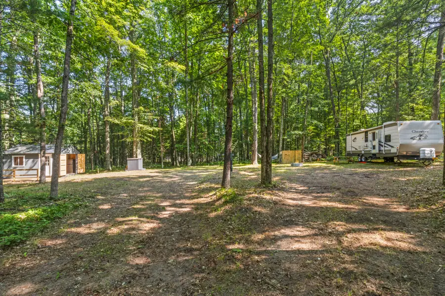 6098 W 9 Mile Road, Irons, MI 49644 - #2