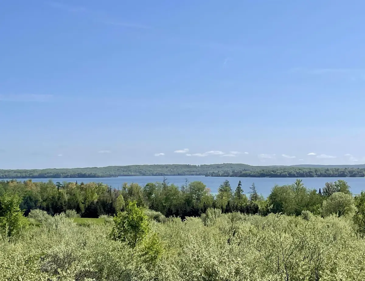 9012 Aurora Vista Trail, Williamsburg, MI 49690 - #1
