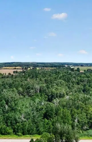 W Vernon Road, Lake, MI 48632 - #1