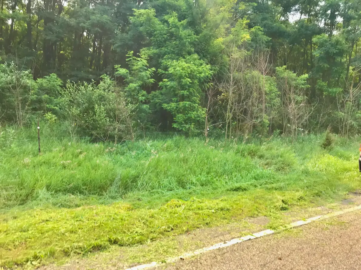 Lot G Buckhorn Road, Three Rivers, MI 49093 - #1