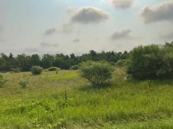Lot G Buckhorn Road, Three Rivers, MI 49093