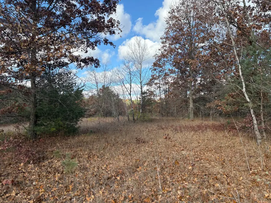 0 Tamarack Road, Newaygo, MI 49337 - #2