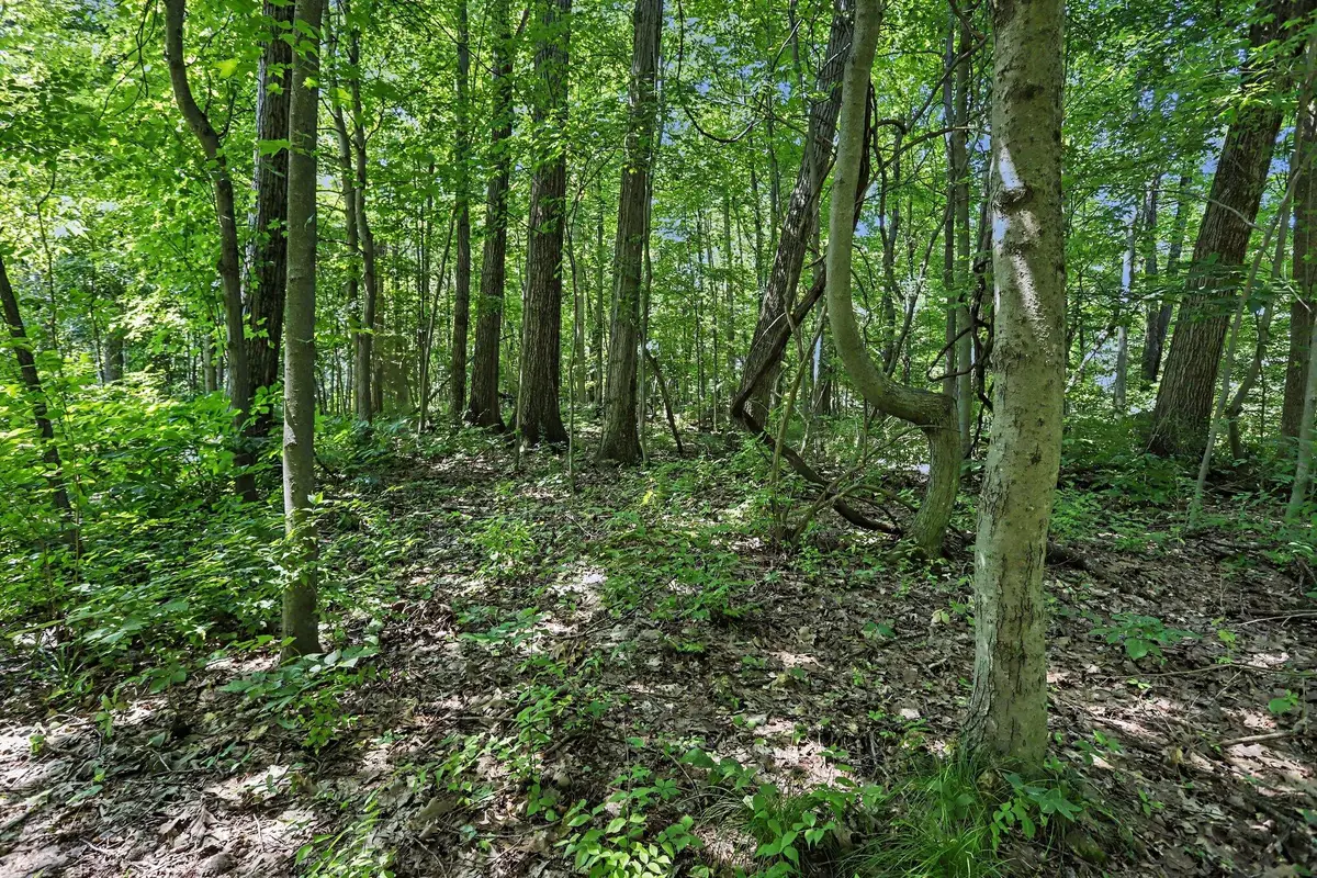 V/L Middle Road #Lots 45 & 46, Three Rivers, MI 49093 - #1