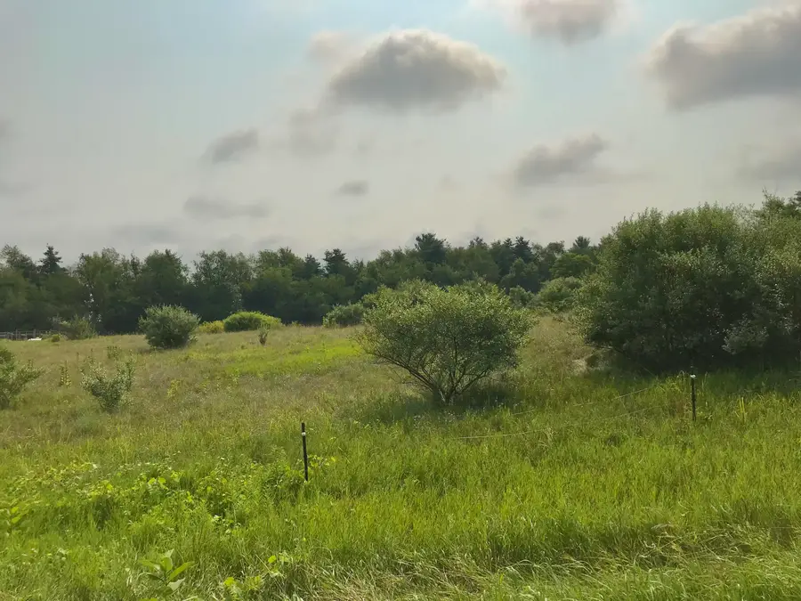 Lot I Buckhorn Road #Lot I, Three Rivers, MI 49093 - #2