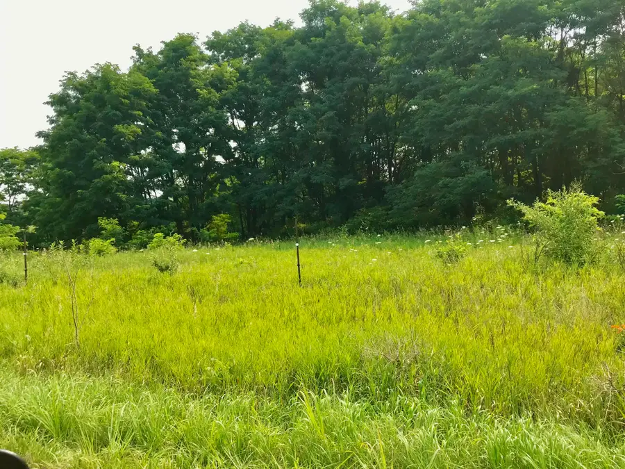 Lot H Buckhorn Road, Three Rivers, MI 49093 - #3