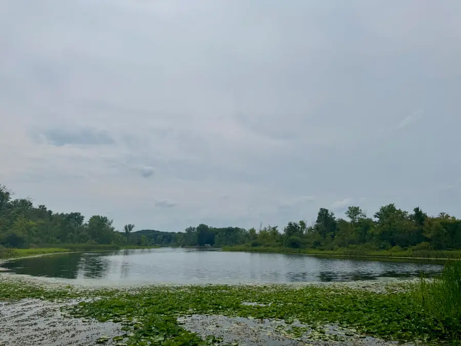 106 Little Long Lake Drive, Nashville, MI 49073 - #3