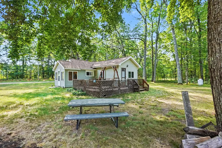 12577 N Mundy Avenue, Bitely, MI 49309 - #3
