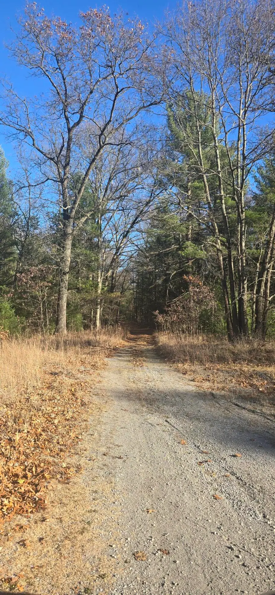 W Cedar Road, Twin Lake, MI 49457 - #2