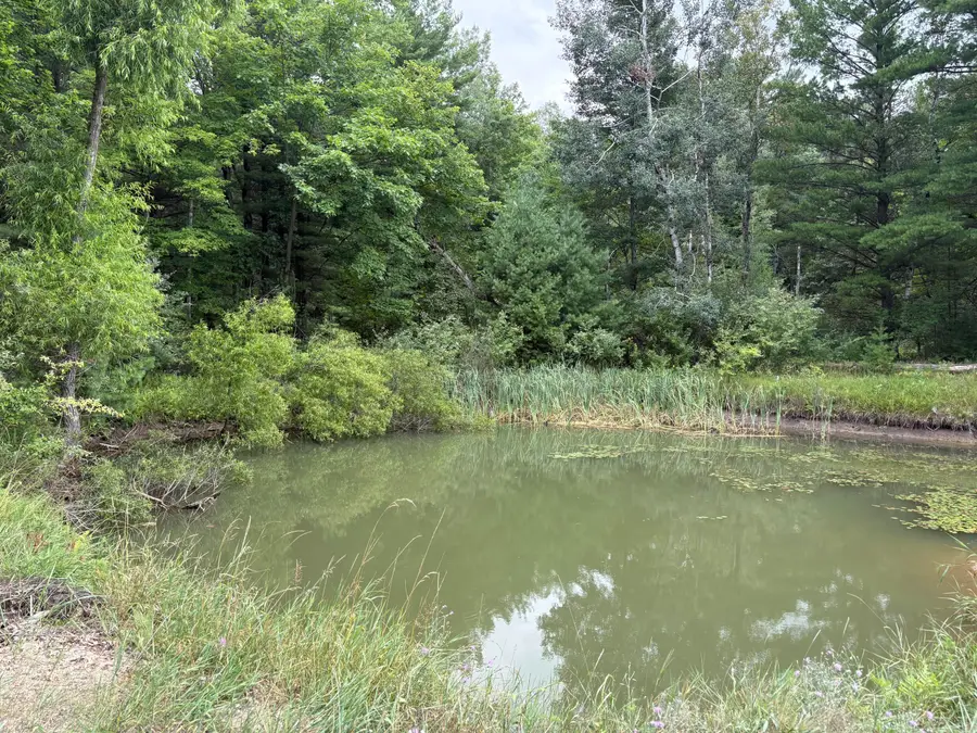 5 Mile Road, Morley, MI 49336 - #2