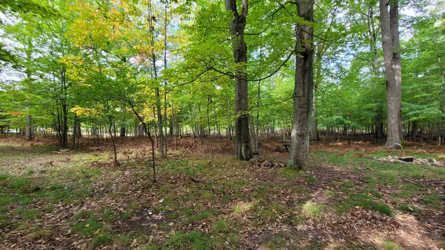 N Diablo, Pentwater, MI 49449 - #2