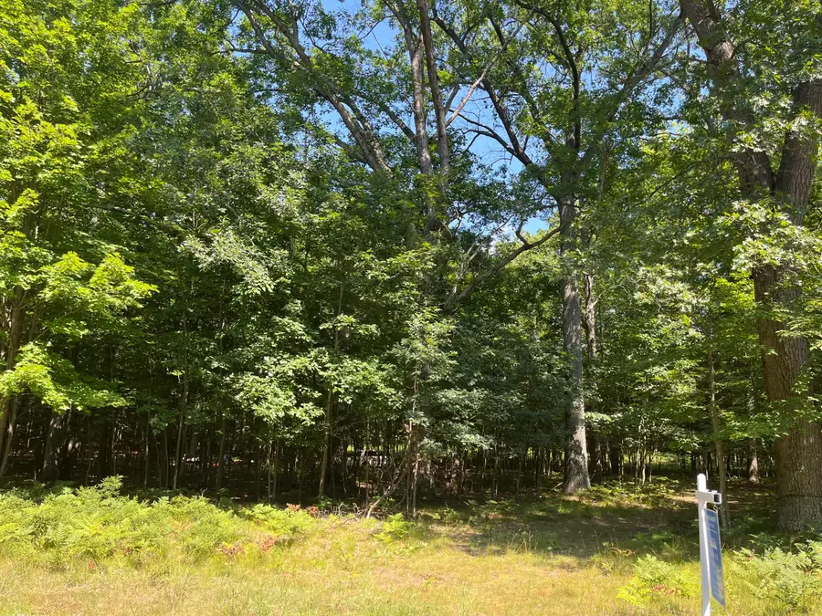 N Diablo, Pentwater, MI 49449 - #3