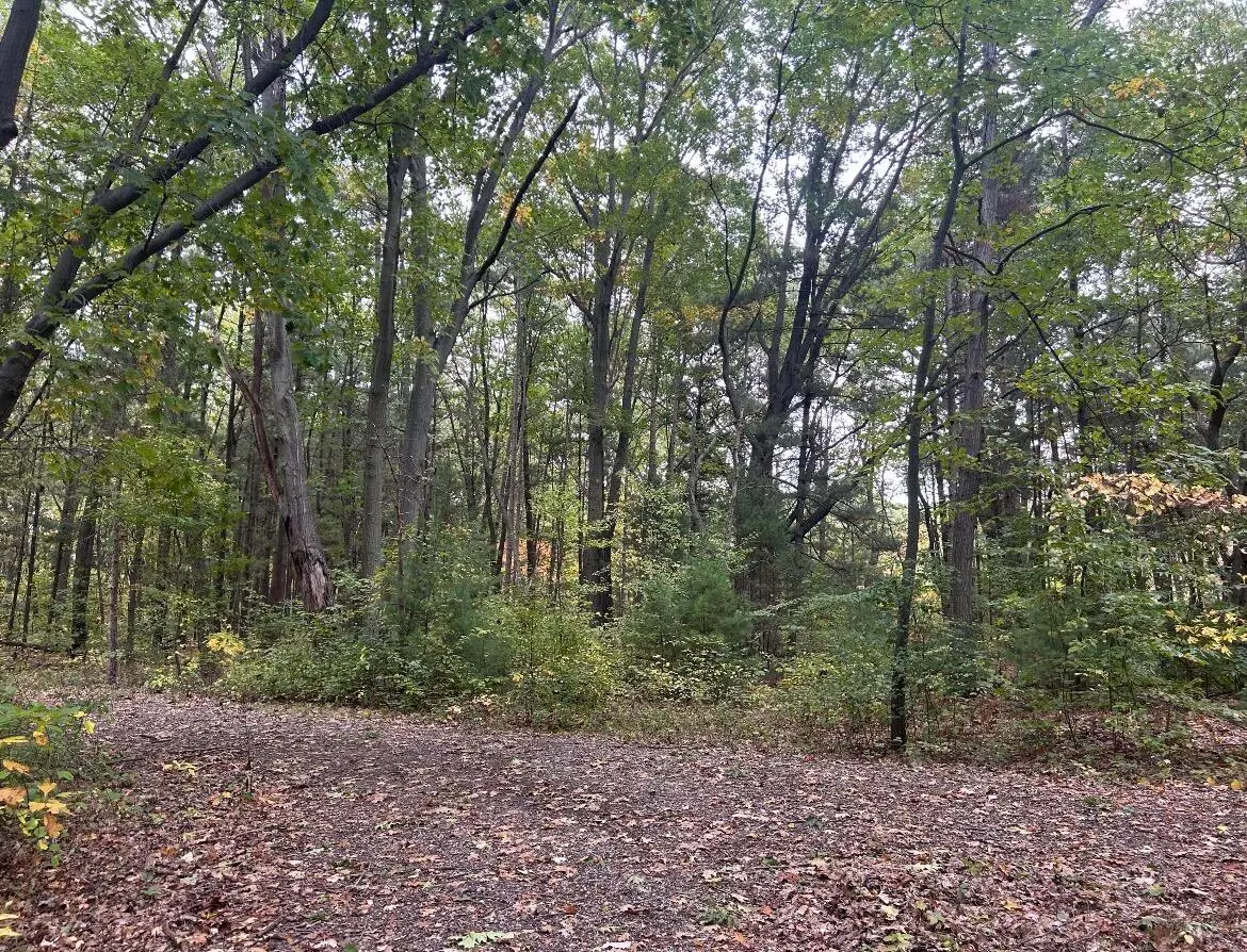 4051 Highview Path, Coloma, MI 49038 - #1