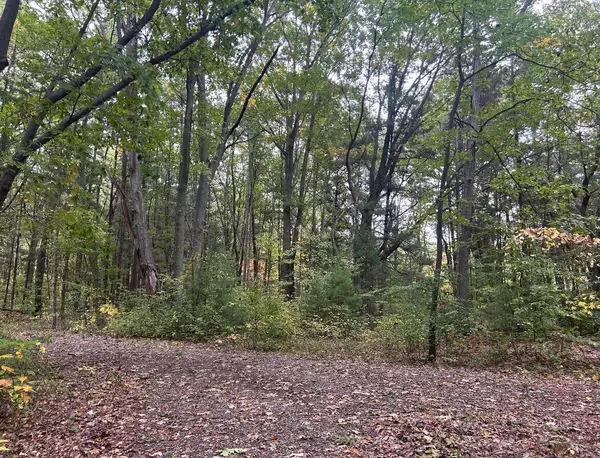 4051 Highview Path, Coloma, MI 49038