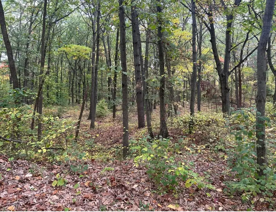 4051 Highview Path, Coloma, MI 49038 - #2