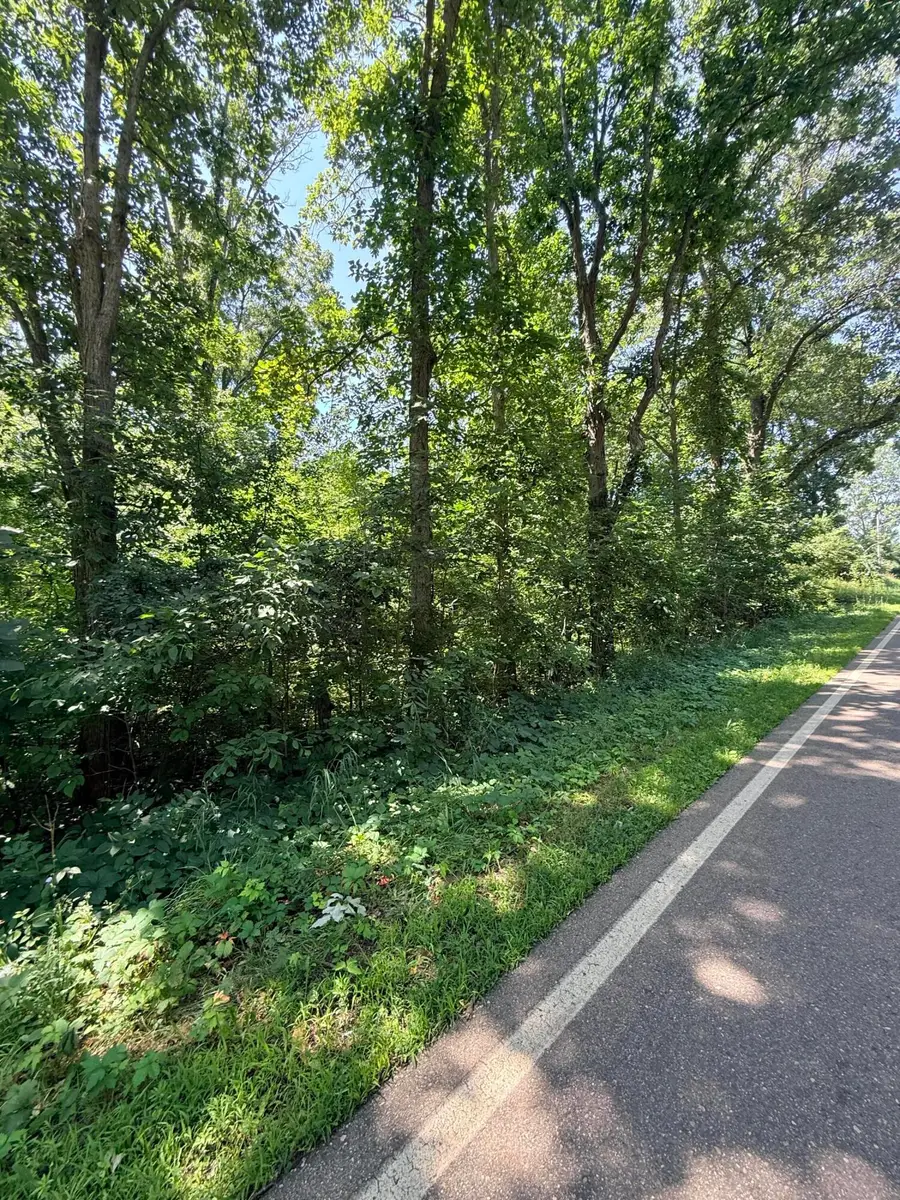 V/L Mccain Road, Parma, MI 49269 - #2