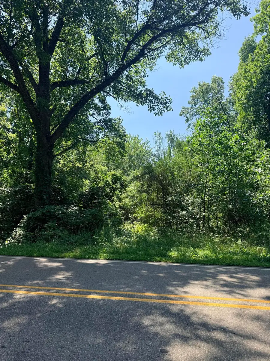 V/L Mccain Road, Parma, MI 49269 - #3