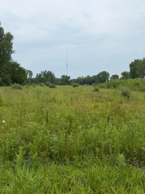 W. Linco Road - Parcel #1-a, Stevensville, MI 49127 - #1