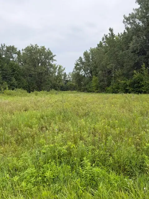 W. Linco Road - Parcel #2-b, Stevensville, MI 49127