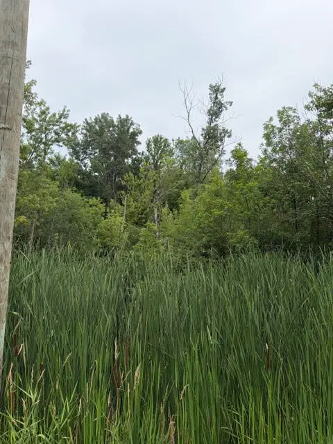 W. Linco Road - Parcel #3-c, Stevensville, MI 49127