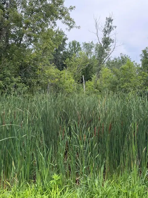 W. Linco Road - Parcel #3-c, Stevensville, MI 49127 - #2
