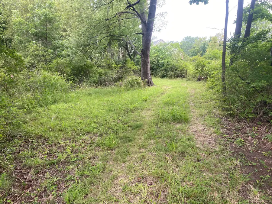 VL 174th Avenue, Spring Lake, MI 49456 - #3