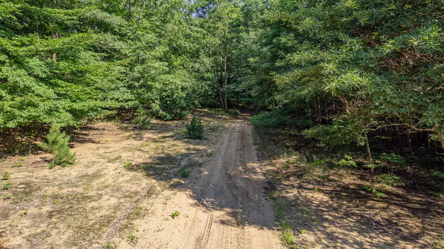 1245 W River Ridge Road, Pentwater, MI 49449 - #2