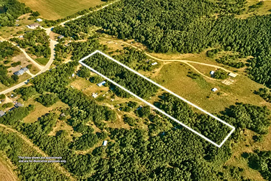 00000 S 204th Avenue, Hesperia, MI 49421 - #3