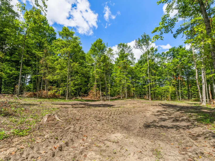 00 Valencourt Road, Copemish, MI 49625 - #3