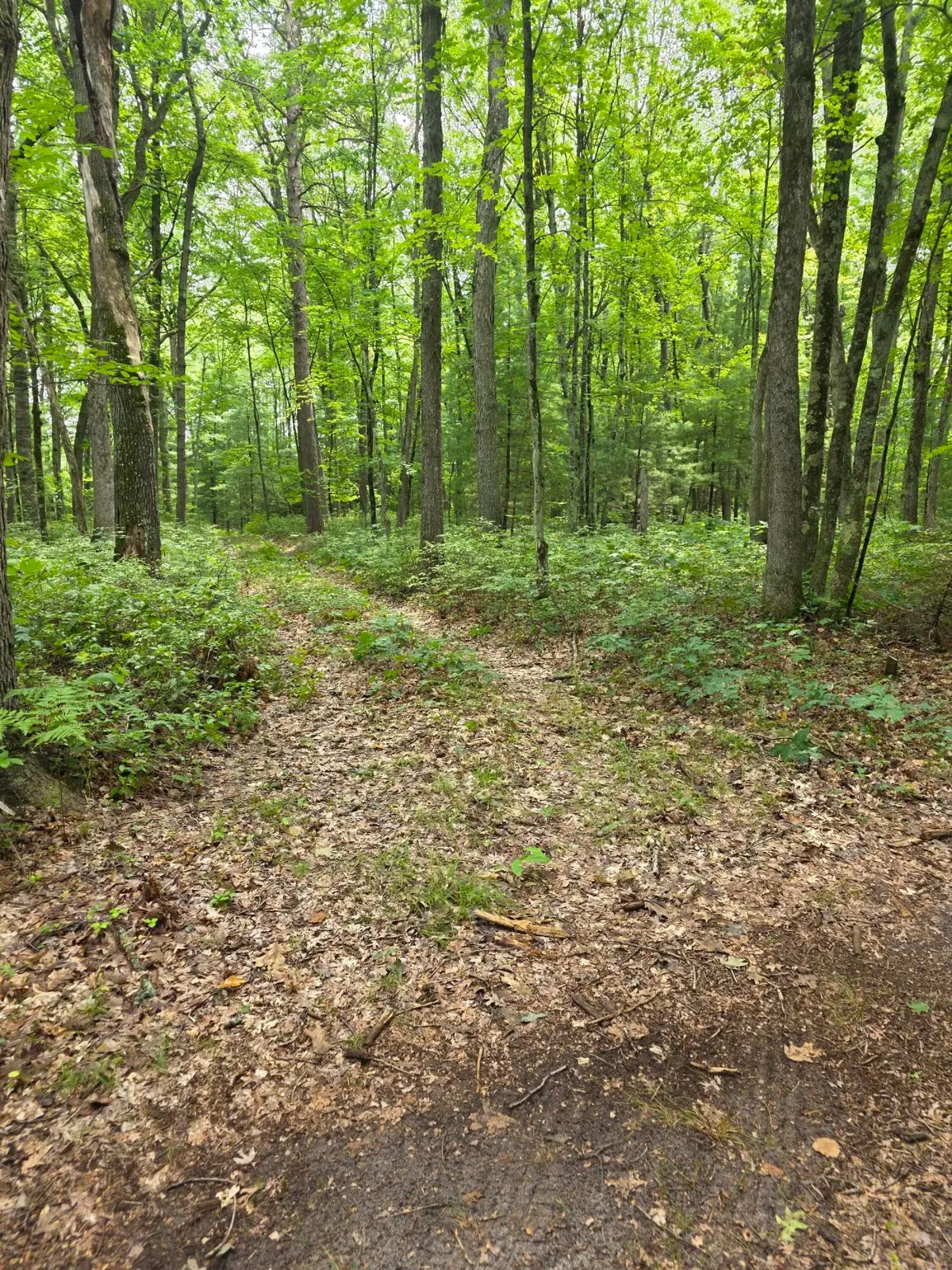 01V/L N Hunters Way, White Cloud, MI 49349 - #1