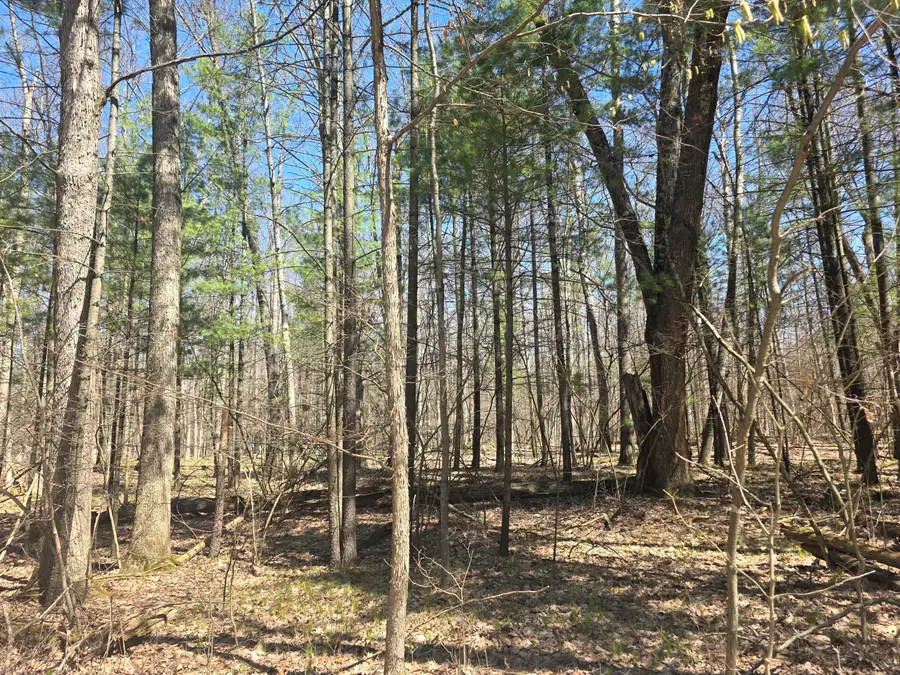 7696 Muskegon Boulevard, Newaygo, MI 49337 - #2