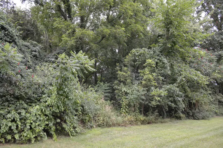 V/L Silverstone Drive, Three Rivers, MI 49093 - #2
