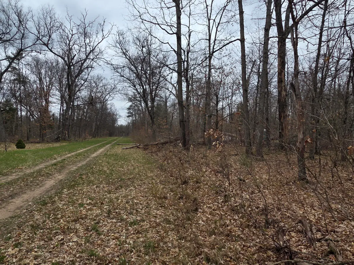 V/L W Mead Street, Baldwin, MI 49304 - #1