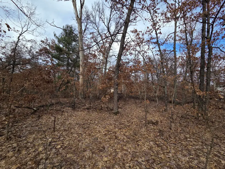 V/L W Mead Street, Baldwin, MI 49304 - #2
