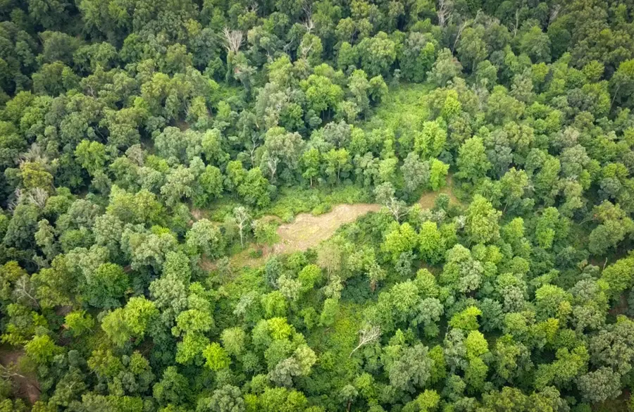 V/L 2000 Ryan Road, Hastings, MI 49058 - #3