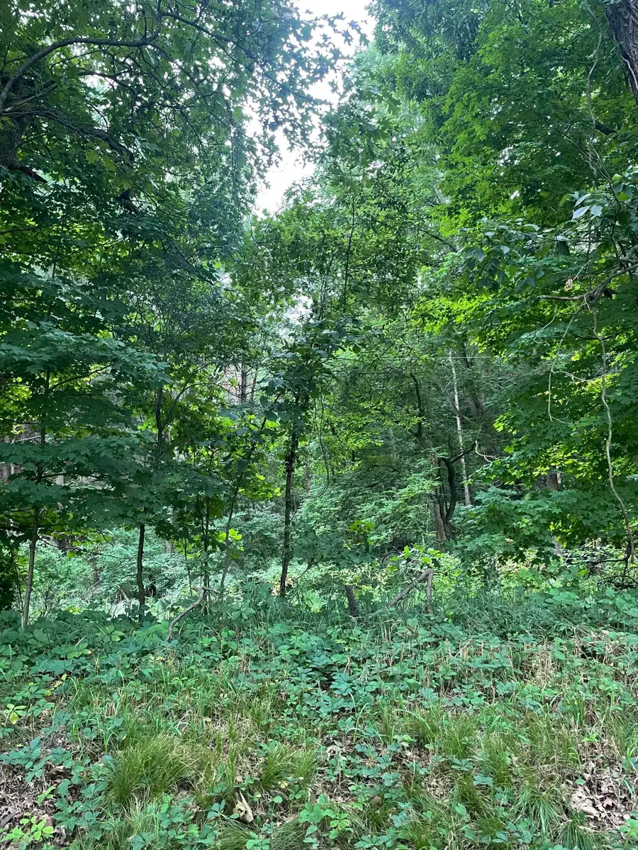 0000 Jacob Road, Grass Lake, MI 49240 - #3