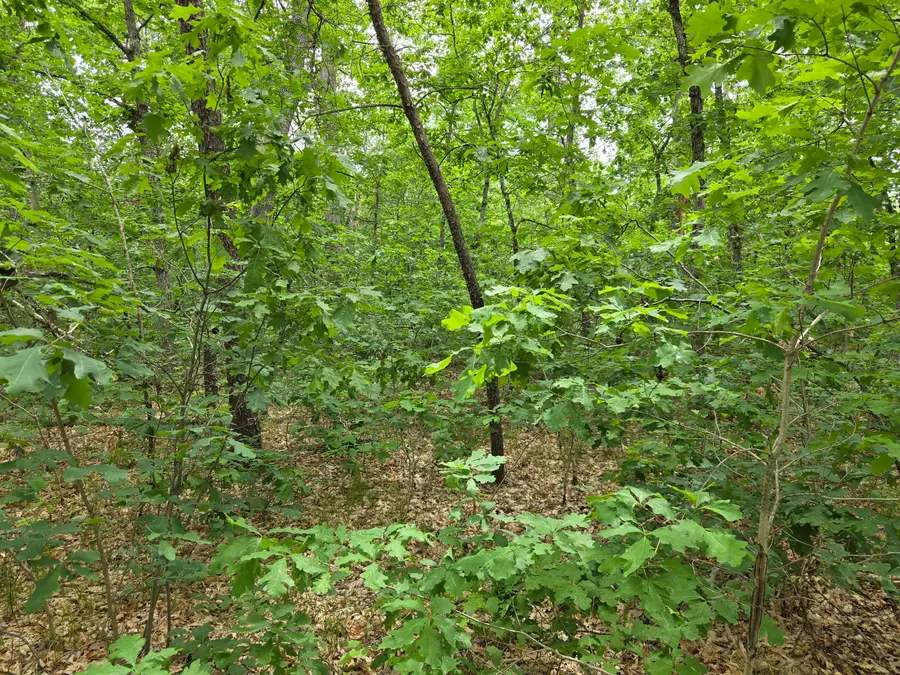 v/l 10-13 W Oliver Road, Baldwin, MI 49304 - #2