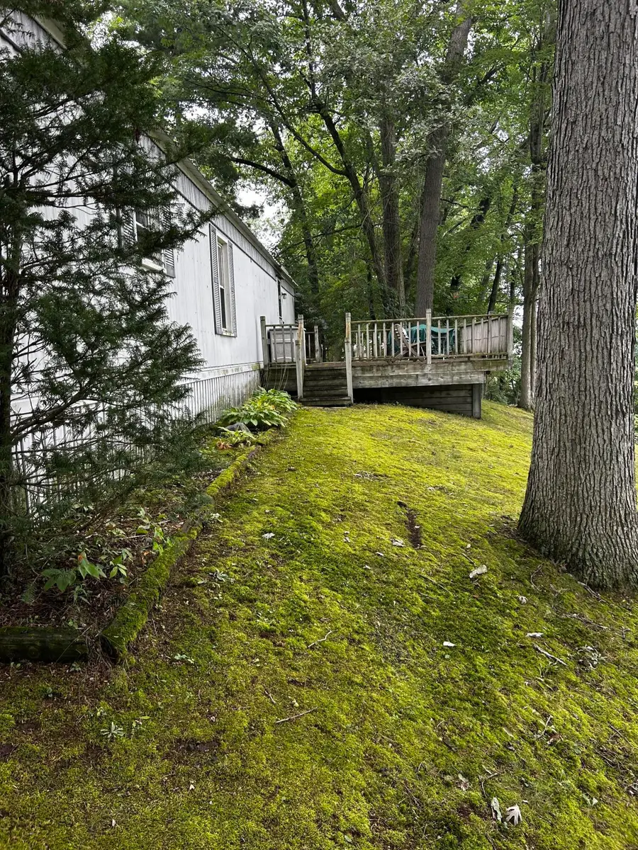 8021 Poplar Lane, Reading, MI 49274 - #3