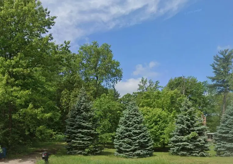 415 Wilson Avenue Sw, Grand Rapids, MI 49534 - #1