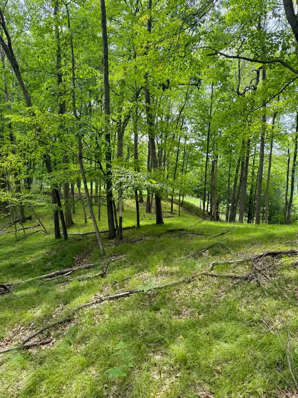 9711 Saint Ives Drive, Canadian Lakes, MI 49346