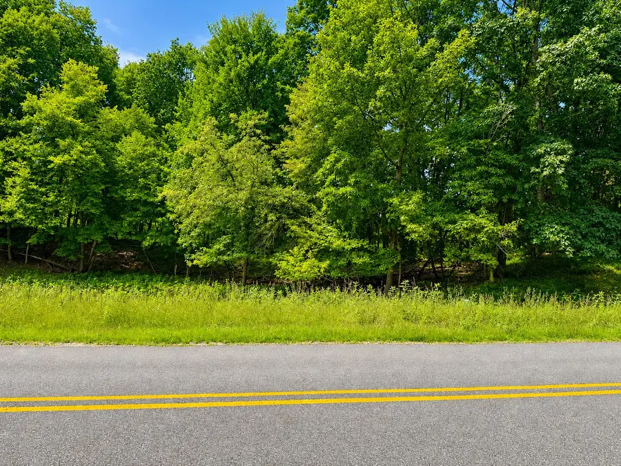 9711 Saint Ives Drive, Canadian Lakes, MI 49346 - #3