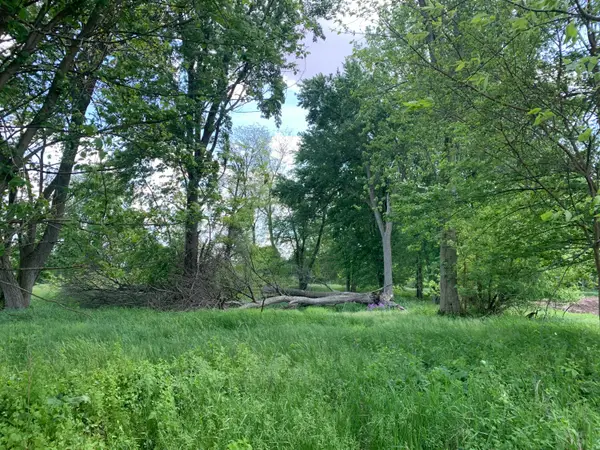 Brink Road, Bronson, MI 49028