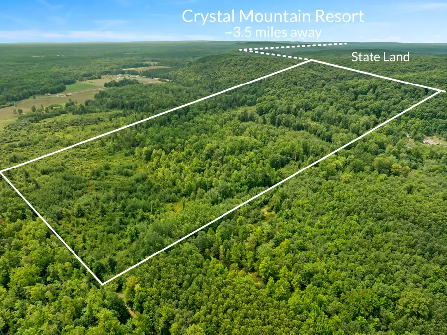 000 S Thompsonville Highway, Thompsonville, MI 49683 - #2